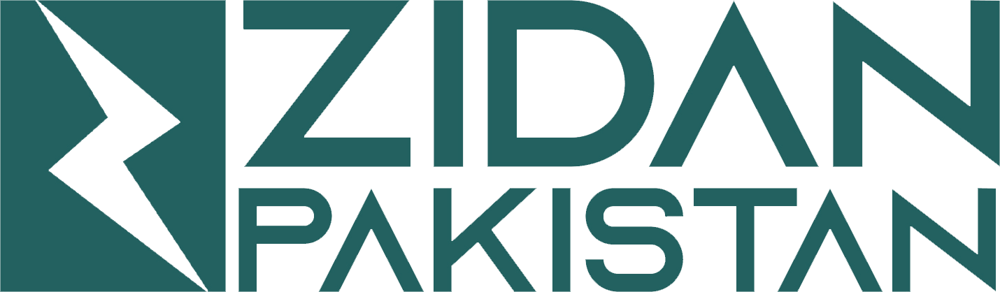 zidanpakistan.tech