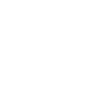 Logo of Zidan Pakistan - white