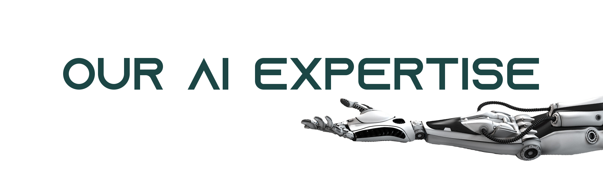 cover -Our AI Expertise